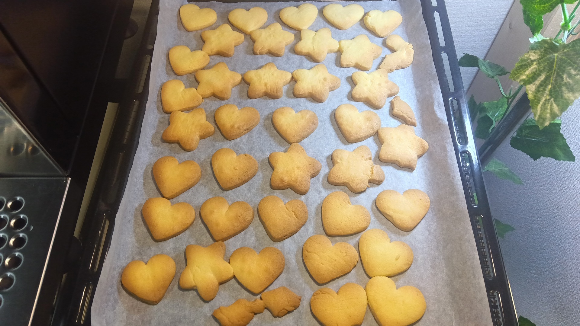 【Cafe-Water 基本レシピ】型抜きクッキー｜Bistro NE-BS8C×TOMIZで決定版を探る