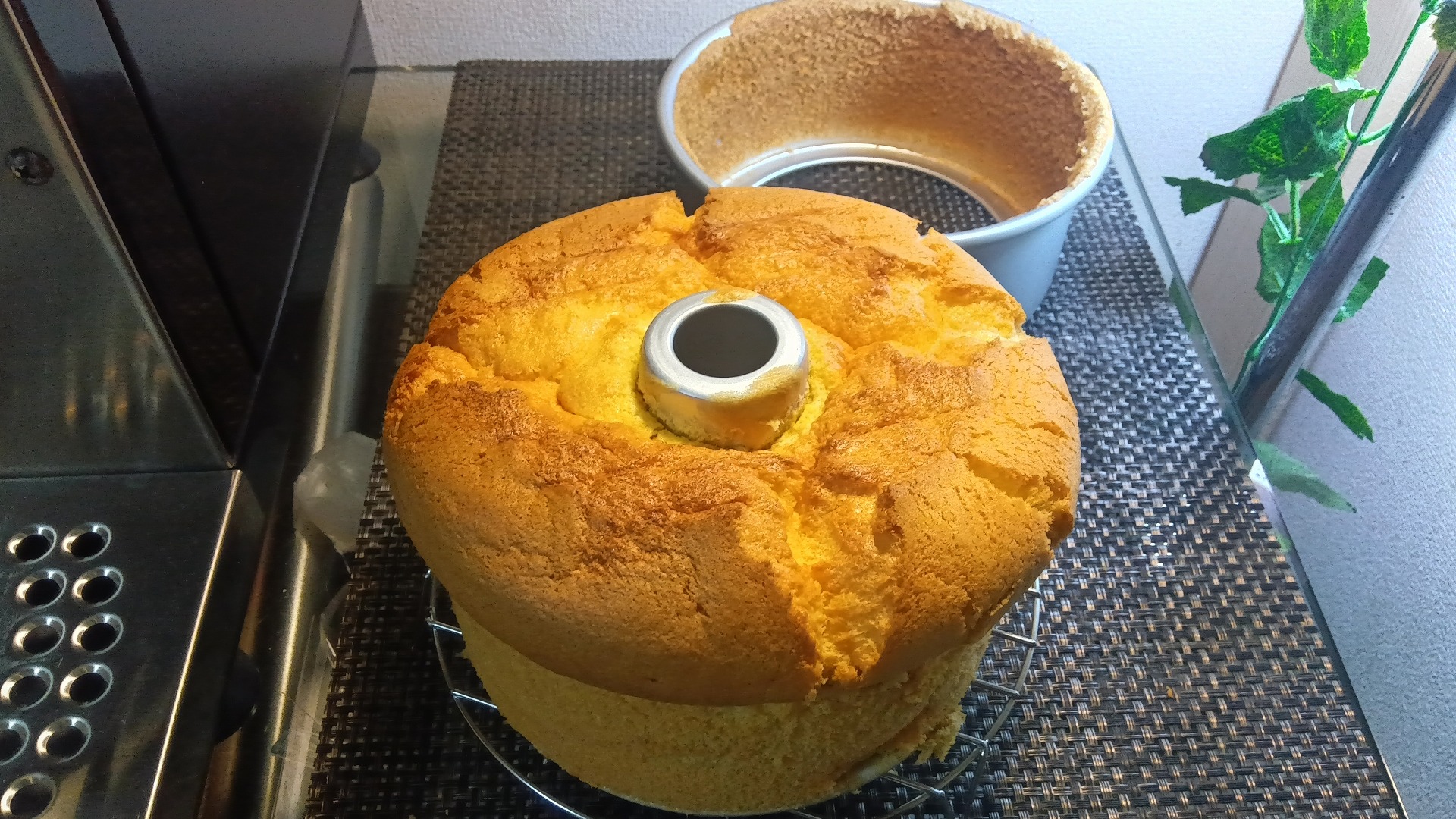 【Cafe-Water 基本レシピ】シフォンケーキ｜Bistro NE-BS8C×TOMIZで決定版を探る